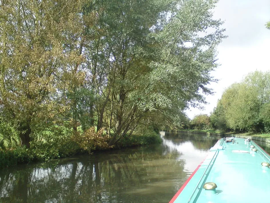 Large tree leaning over the canal seen from the bow of a moving narrowboat