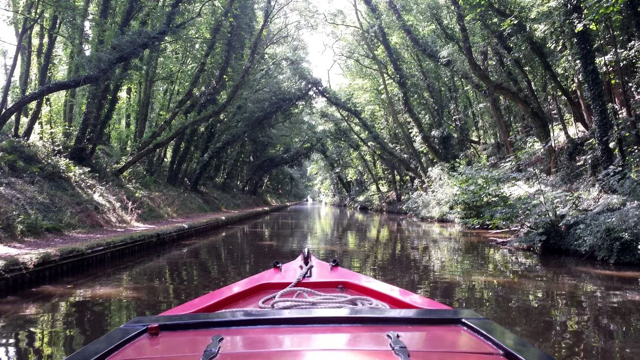 View from the bow of a narrowboat cruising under overhanging trees