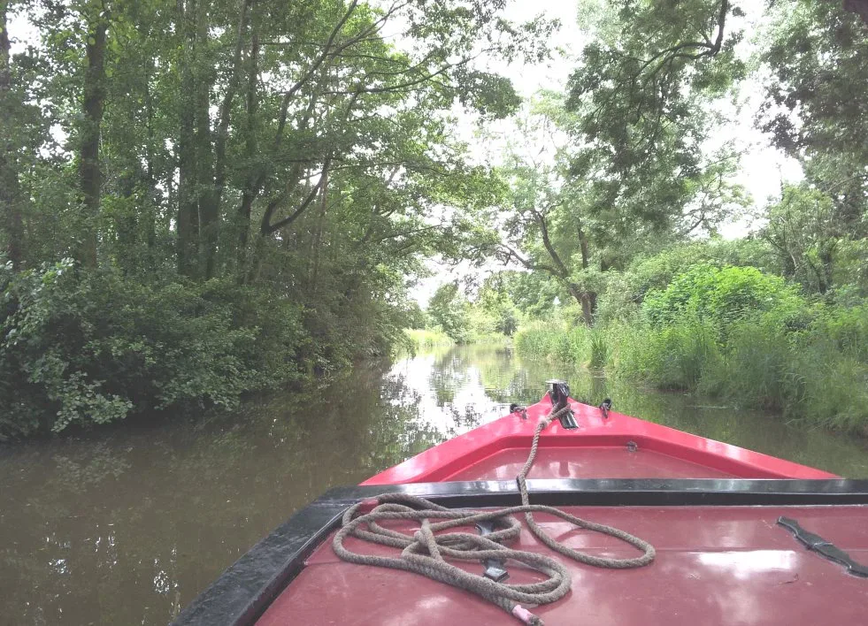 View over the bow of a narrowboat cruising a narrow channel between overhanging trees