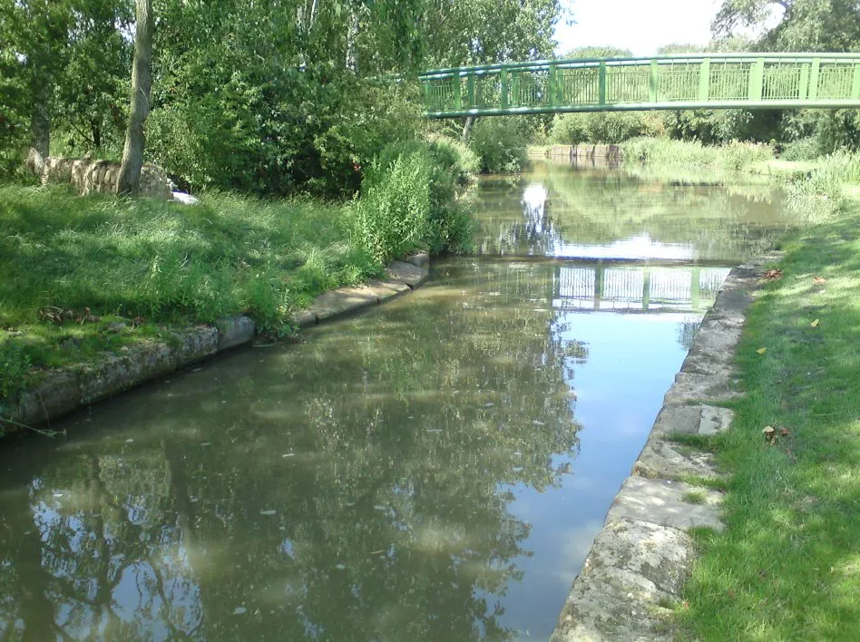Green footbridge over the canal with trees and reeds along both banks