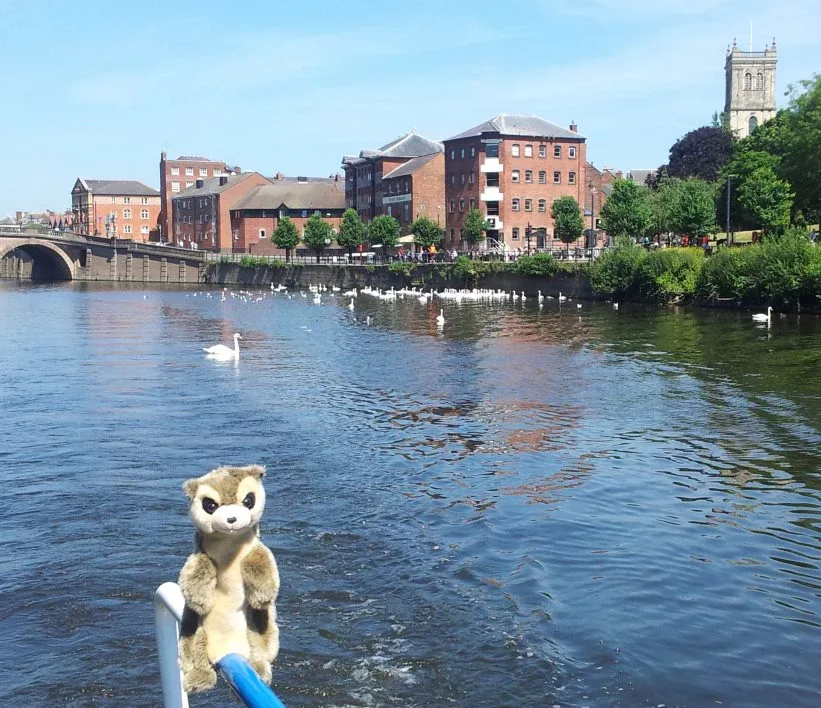 Toy meerkat on a boat pole with swans and a canalside town in the background
