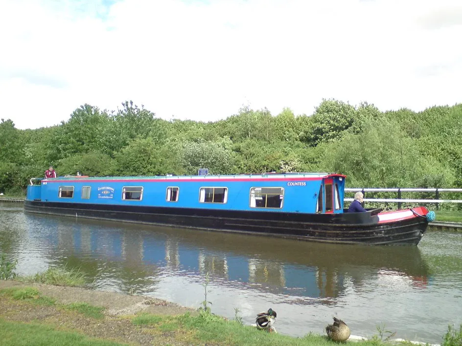 Blue narrowboat cruising past a reed-lined bank with ducks on the water