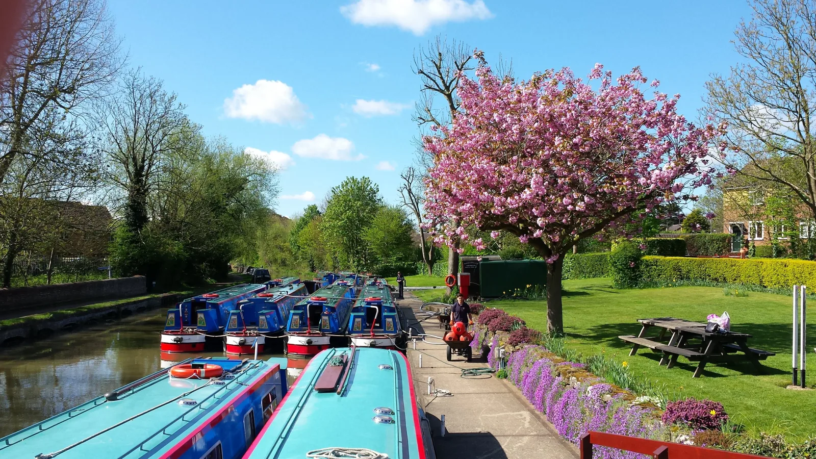 The Wyvern boatyard in spring with blossom on the trees and narrowboats moored in rows
